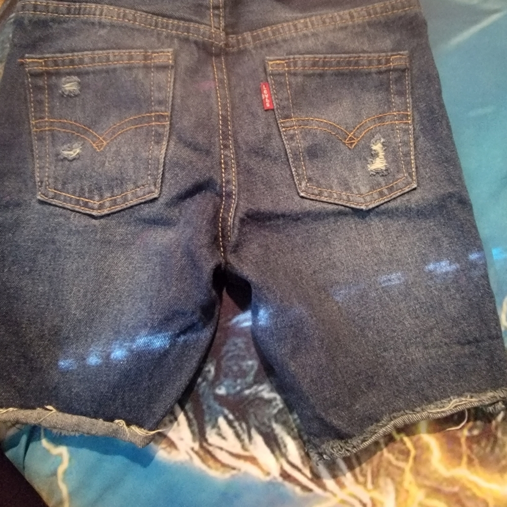 Shorts - Picture 4 of 6